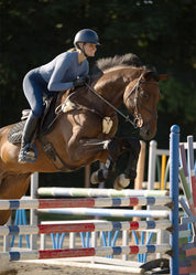 Rider wearing a blue long sleeve riding top jumping a horse
