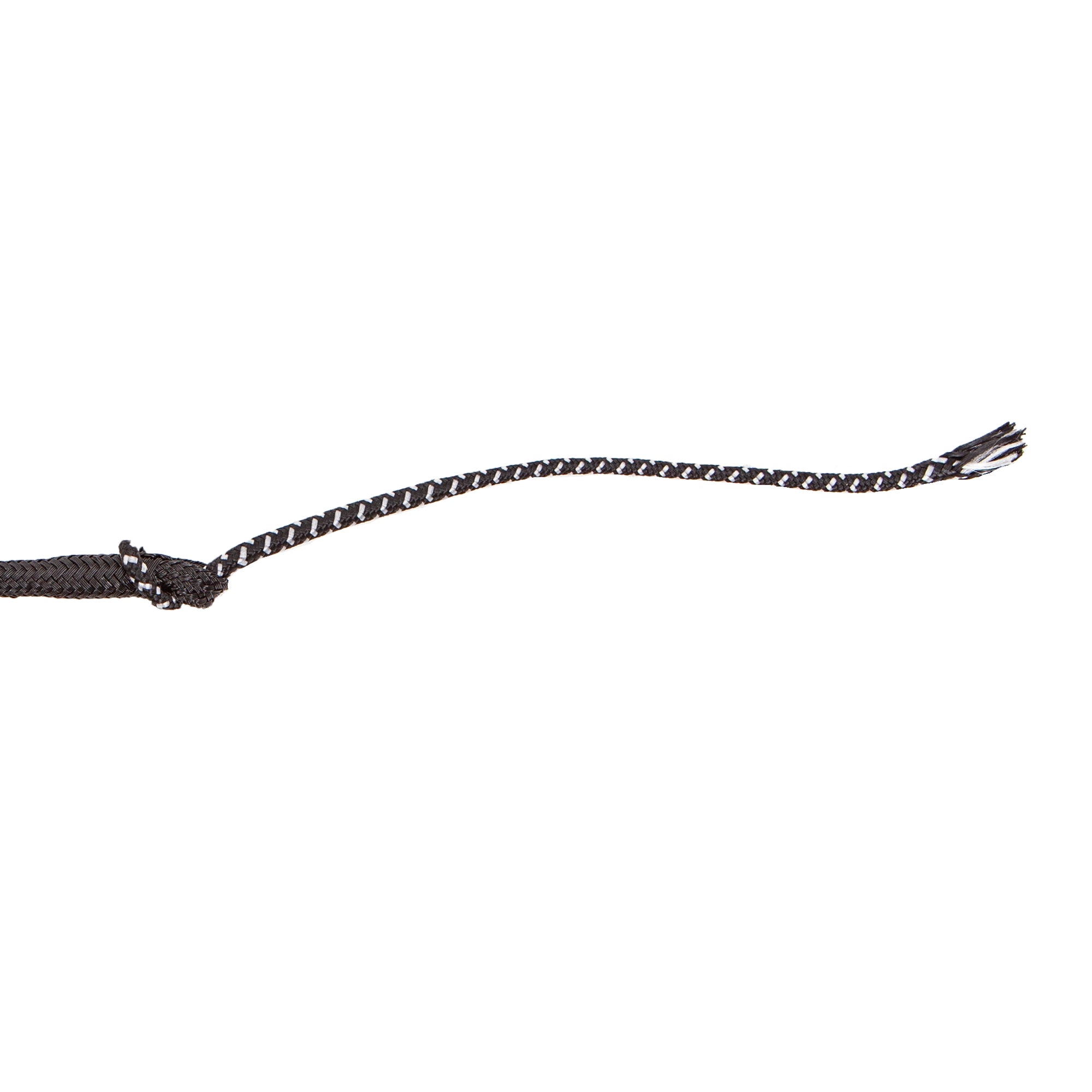 Close-up view of the lash on the black Toklat Dressage Whip on a white background
