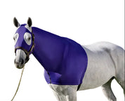 White horse wearing the Centaur Spandex Zip Hood in Royal Blue