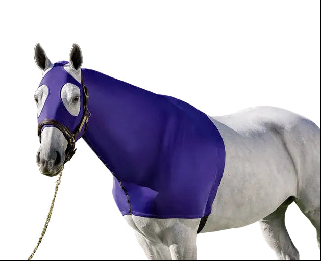 White horse wearing the Centaur Spandex Zip Hood in Royal Blue