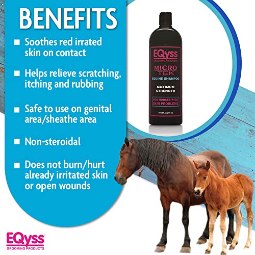 Bottle of equine shampoo displayed next to a mare and foal on a light background