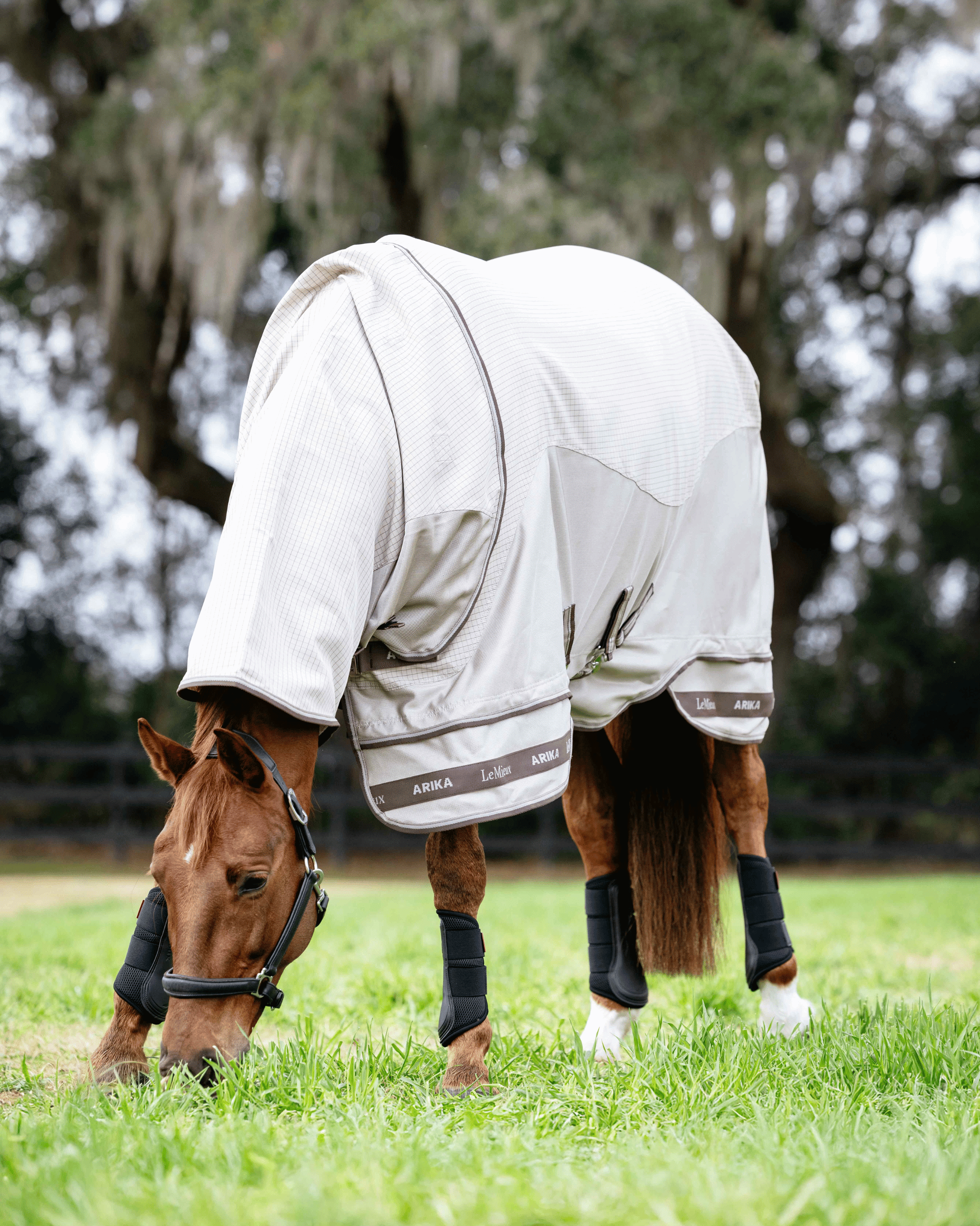 Horse wearing LeMieux Arika Sunstopper Sheet with neck cover grazing in grassy field