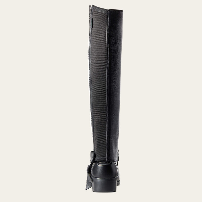 Back view of the black Ariat Breeze Half Chap over a paddock boot on a plain background