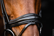 Close-up view of the noseband on the Schockemohle Isabell Werth Satchmo Dressage Bridle as worn by a horse