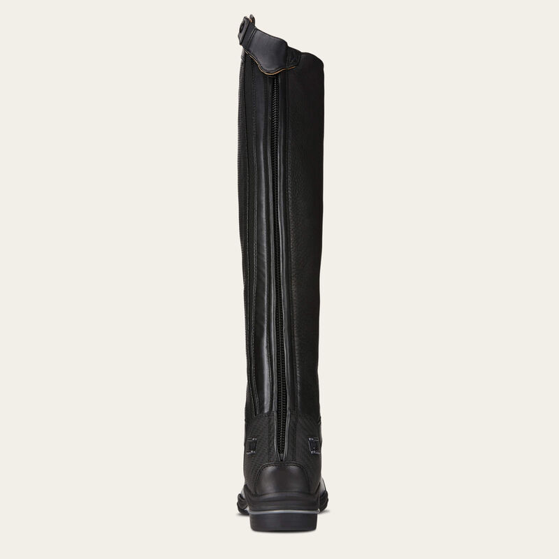 Back view of the Ariat V Sport Perforated Zip Tall Riding Boot on a plain background