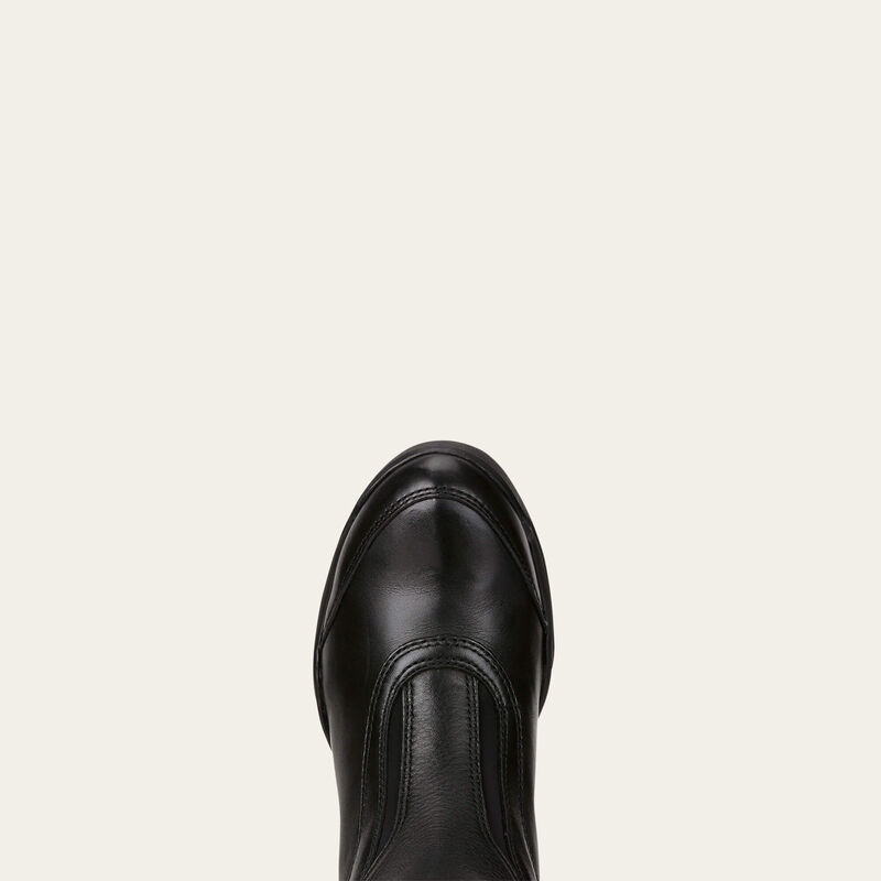 Top view of the toe cap of the Ariat V Sport Perforated Zip Tall Riding Boot on a plain background