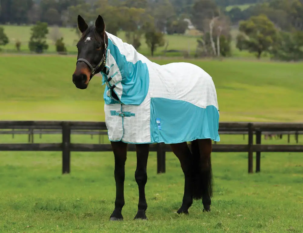 mint Weatherbeeta Kool Coat Cotton Airstream II Detach-A-Neck while standing in a green pasture