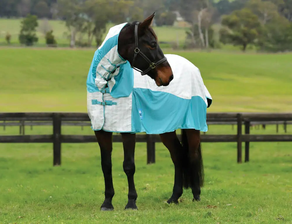 Angled front view of a dark colored horse with head turned wearing the white/mint Weatherbeeta Kool Coat Cotton Airstream II Detach-A-Neck while standing in a grassy pasture