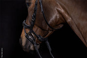 Schockemohle Equitus Beta Glam black bridle worn on horse, side view