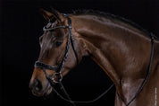 Schockemohle Equitus Beta Glam black bridle worn on horse, angled head view