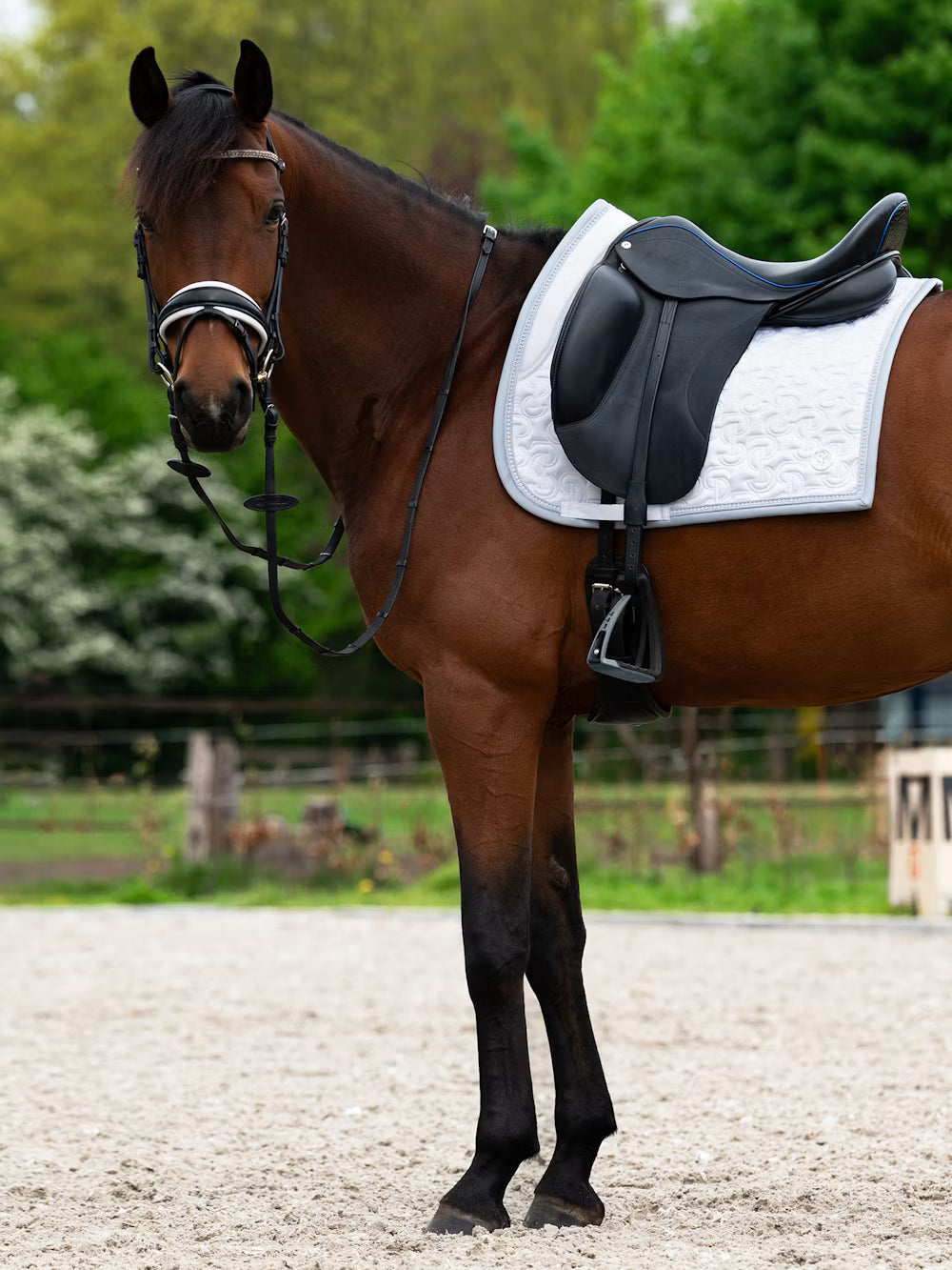 Side view of a bay horse wearing the white PS of Sweden Crystal Satin Dressage Saddle Pad under a black saddle