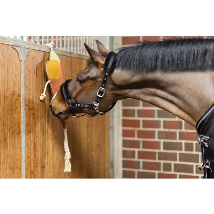 Side view of a horse smelling the HKM Ice Cream Horse Toy that is hanging in a stall