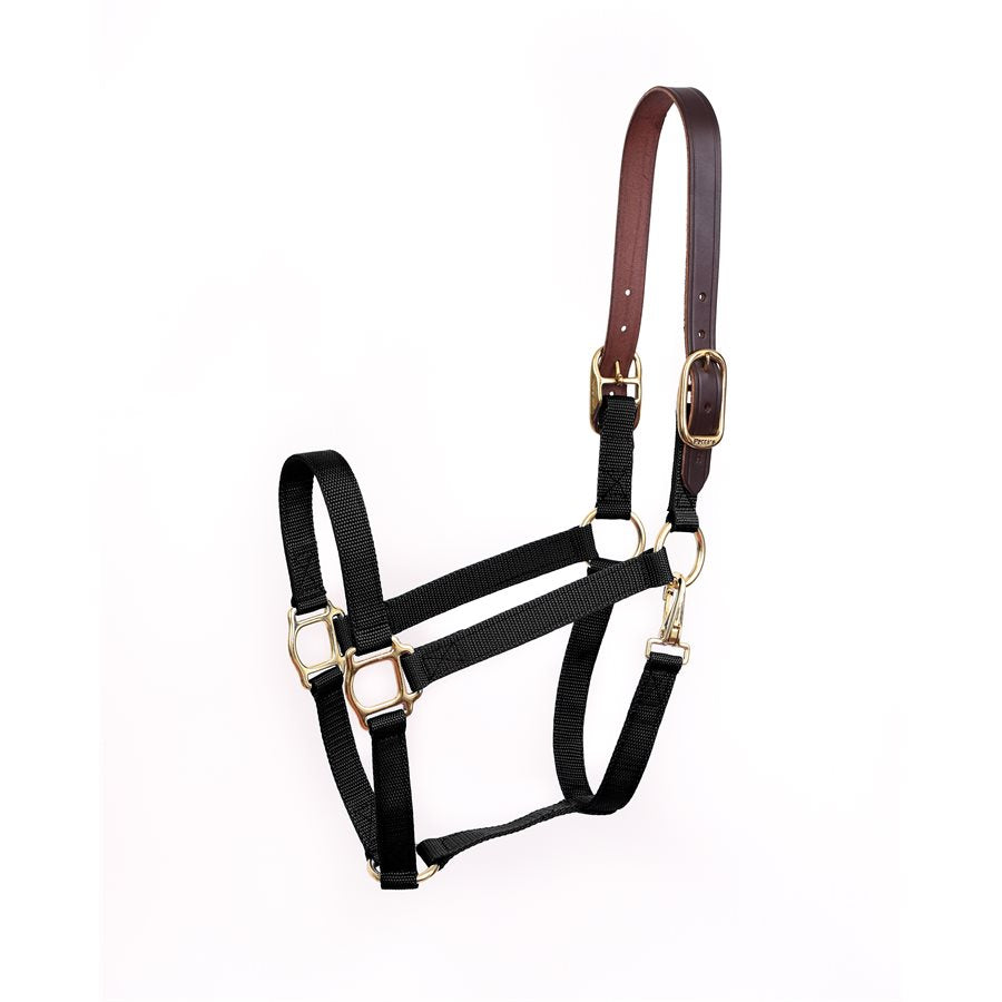 Perri’s Economy Safety Halter in black with brown leather crown piece and brass hardware