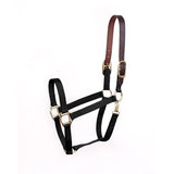 Perri's Economy Safety Halter