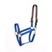Perri’s Economy Safety Halter in royal blue with brown leather crown piece and brass hardware