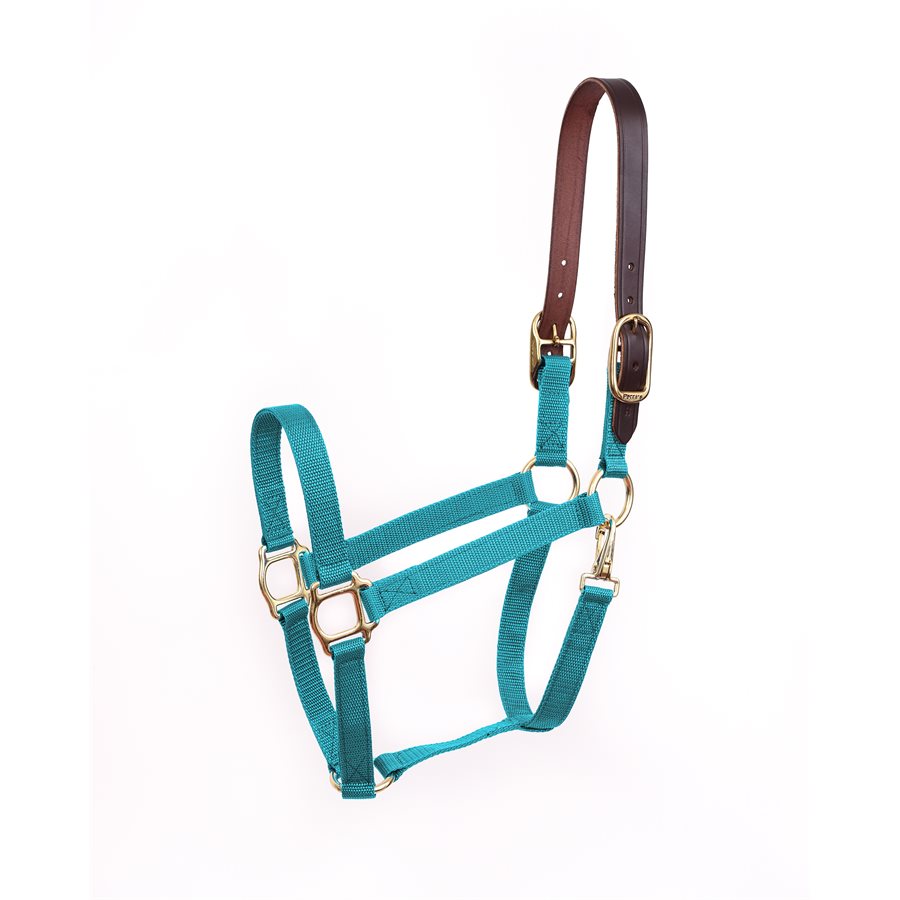 Perri’s Economy Safety Halter in turquoise with brown leather crown piece and brass hardware