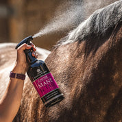 View of someone spraying a dark-colored horse's mane with the Carr & Day & Martin Canter Mane and Tail Conditioner