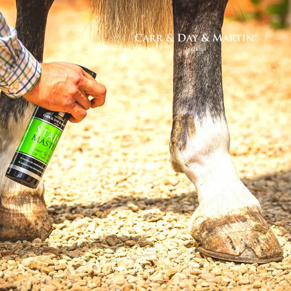 Close-up view of someone applying the Carr & Day & Martin Stain Master Green Spot & Stain Remover to a gray horse's white pastern