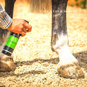 Close-up view of someone applying the Carr & Day & Martin Stain Master Green Spot & Stain Remover to a gray horse's white pastern