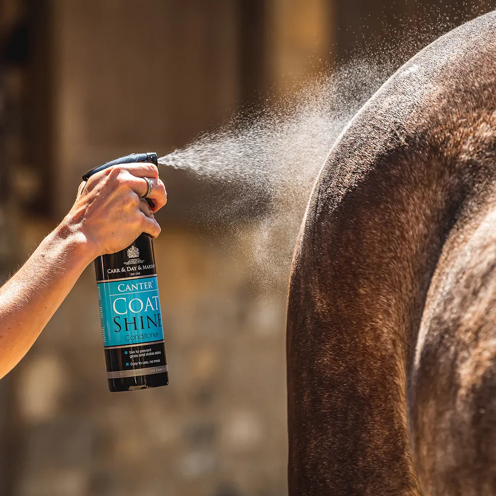 Side view of someone spraying a horse with the Carr & Day & Martin Canter Coat Shine Conditioner