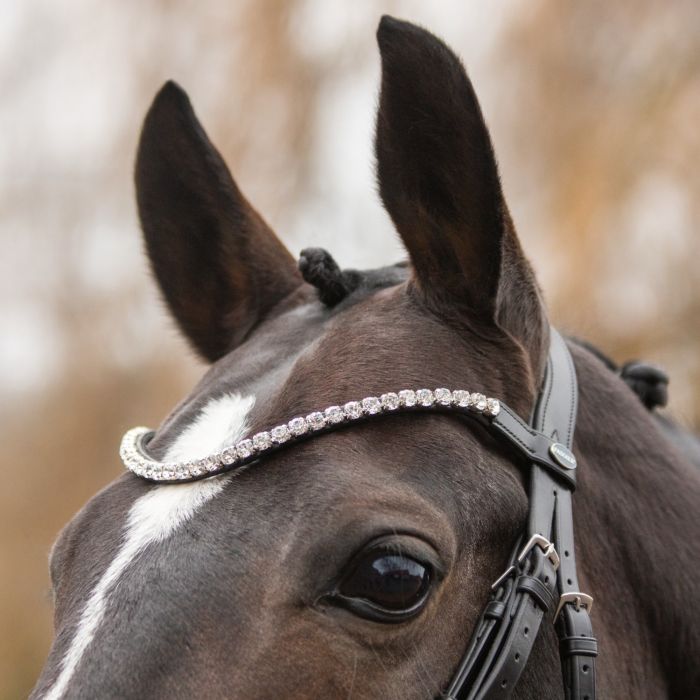Front view of the Clear Passier Waved Browband with Extra Large Premium Crystals worn by a dark colored horse