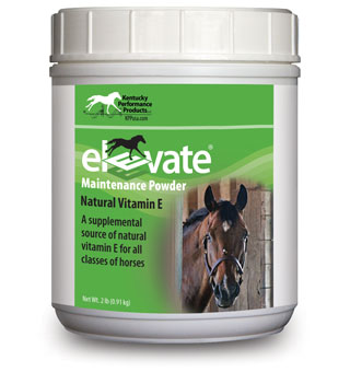 Front view of a 2lb jar of Elevate Maintenance Powder on a white background