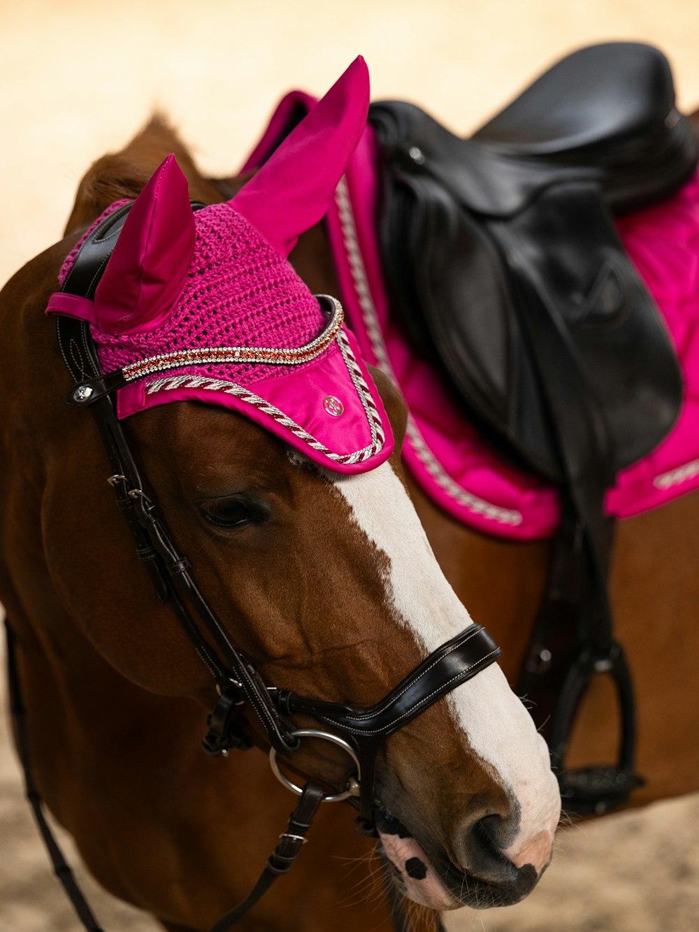 View of a chestnut horse wearing the Hot Hibiscus PS of Sweden The Original Monogram Jump Saddle Pad and coordinating bonnet