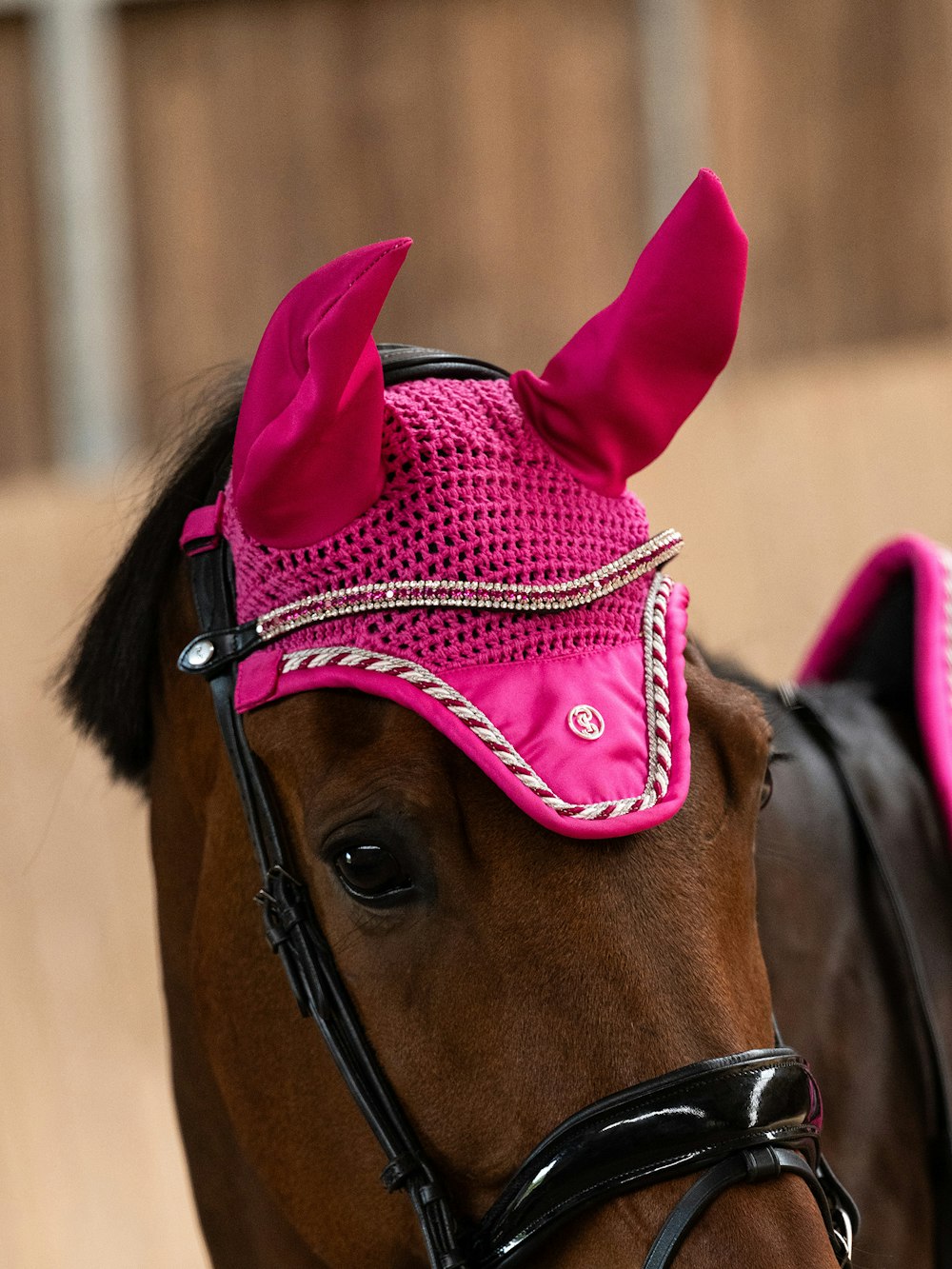 Angled front view of a horse wearing the hot hibiscus PS of Sweden The Original Monogram Ear Bonnet