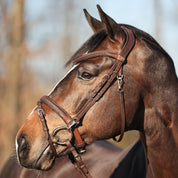 Side view of a dark colored horse wearing the brown Kavalkade "EveryDay" Bridle