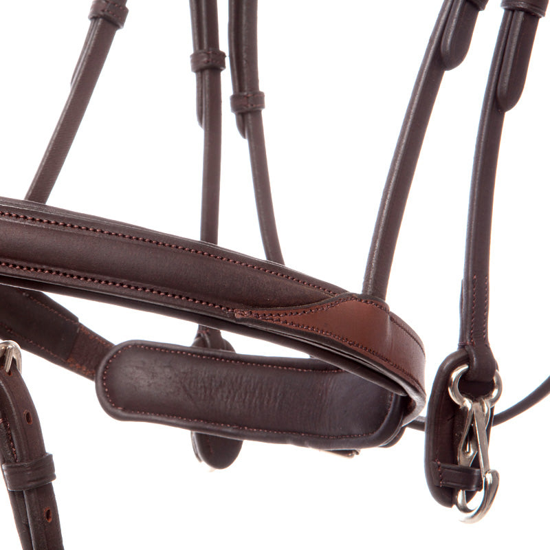 Close-up view of the noseband on the brown Kavalkade "EveryDay" Bridle on a white background