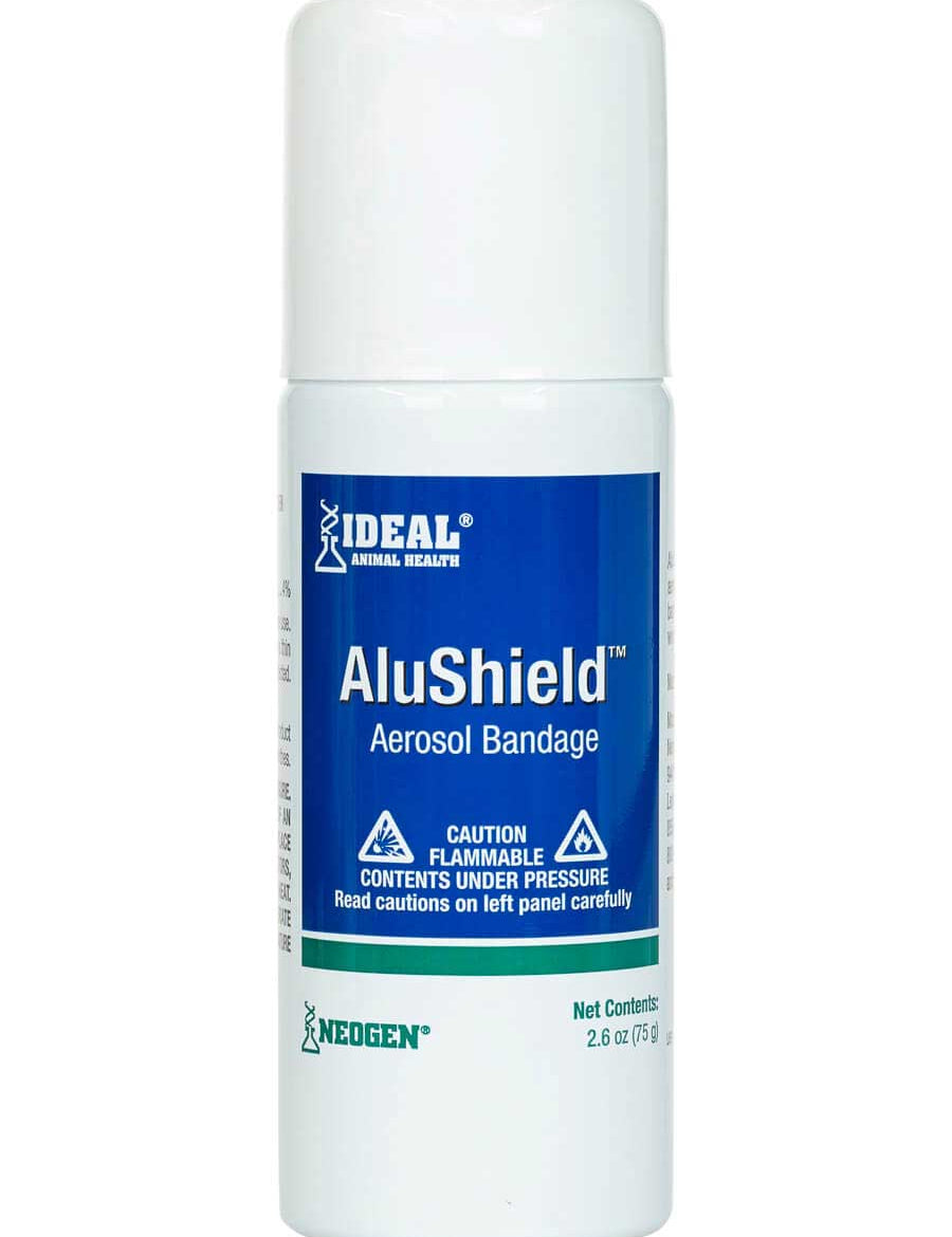 Front view of a 2.6 oz can of Alushield Spray on a white background