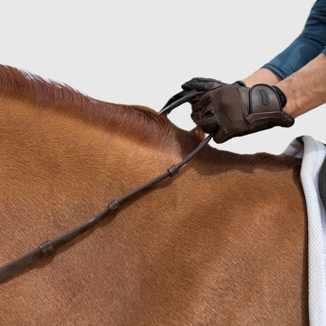 Close-up of a person riding a horse with a pair of brown Correct Connect Thumb Grip Reins in their hands