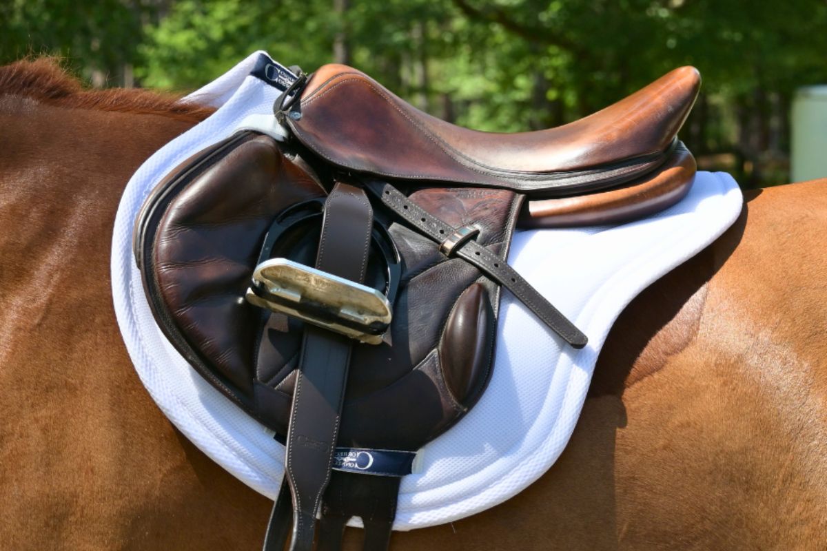 Side view of the white Correct Connect XC Mesh Saddle Pad under a brown saddle worn by a chestnut horse