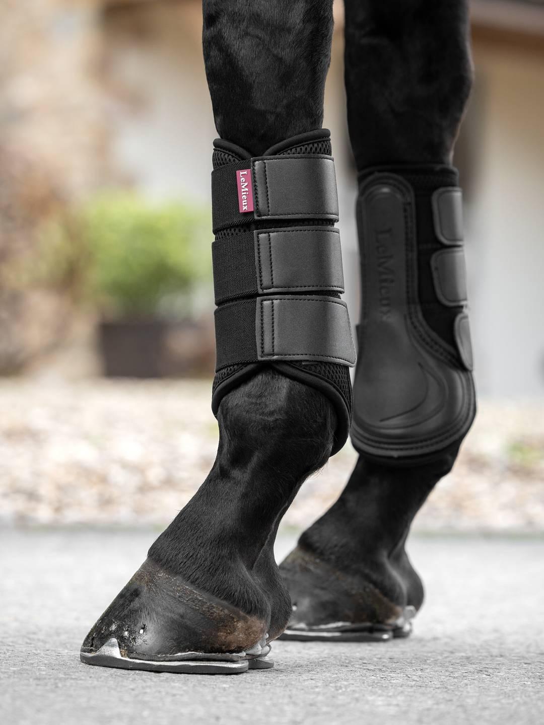 Horse wearing black LeMieux Mesh Brushing Boots walking on pavement