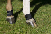 View of a horse's legs wearing the Back on Track Pastern/Fetlock Bands while standing in the grass