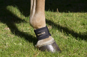 Side view of a Back on Track Pastern/Fetlock Band on a horse's leg while standing in the grass