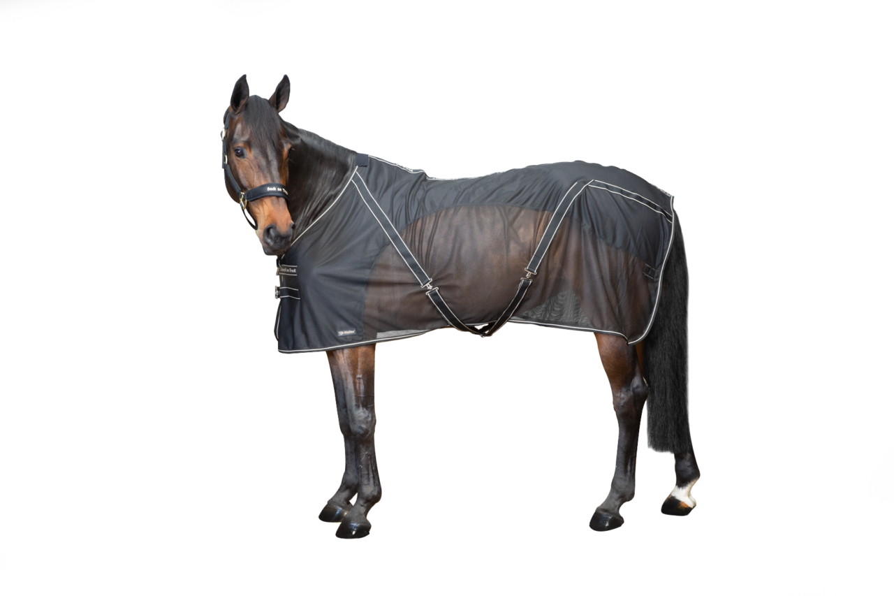 Side view of a dark colored horse wearing the black Back On Track Sienna Mesh Cooler Rug on a white background