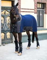 Full view of a dark colored horse wearing the navy Back On Track Royal Quick Wraps with navy cooler while standing in front of a brick building