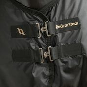 Close-up front view of the double buckles on the Back On Track Royal Mesh Sheet Deluxe