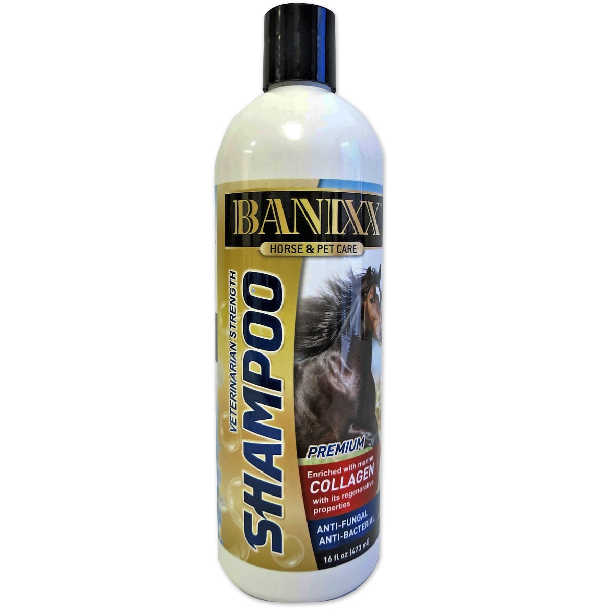 Front view of a bottle of Banixx Medicated Shampoo
