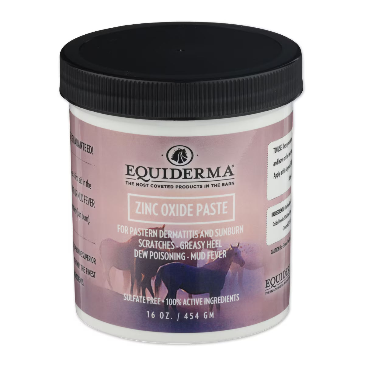 Front view of a 16 oz jar of Equiderma Zinc Oxide Paste on a white background
