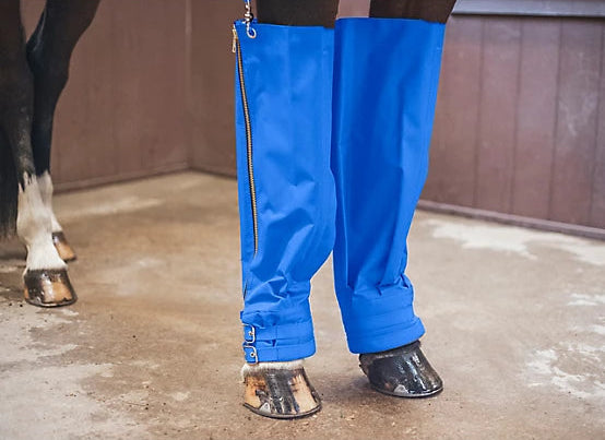 Close-up view of the Cordura Ice Boots in royal blue on a horse's legs