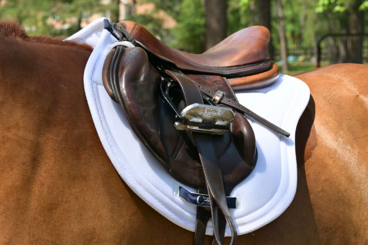 Angled front view of the white Correct Connect XC Mesh Saddle Pad under a brown saddle worn by a chestnut horse