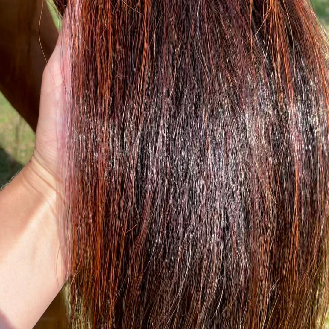 Close-up of shiny horse tail hair after applying Hairy Pony Silky Serum