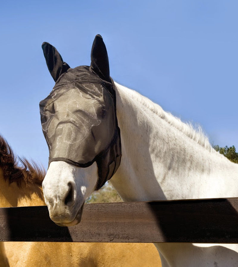 Gray horse standing outside behind a fence wearing the black Absorbine UltraShield Fly Mask With Ears