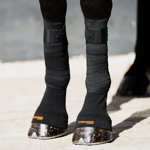Front view of a horse wearing a pair of black Incrediwear Circulation Hoof Socks