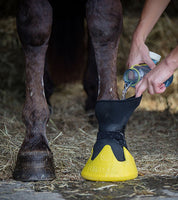 Front view of someone added water to an XX-Large Yellow Tubbease Hoof Sock while it is worn by a dark colored horse