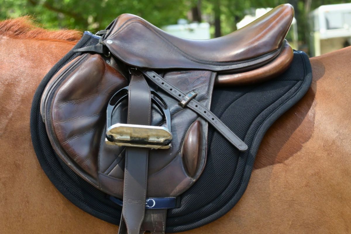 Side view of the black Correct Connect XC Mesh Saddle Pad under a brown saddle worn by a chestnut horse