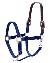 Side view of the navy Equinavia Loki Breakaway Halter on a white background