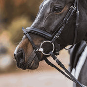 Side view of a dark-colored horse with a black bridle and a Herm Sprenger Duo Loose Ring Bit in its mouth